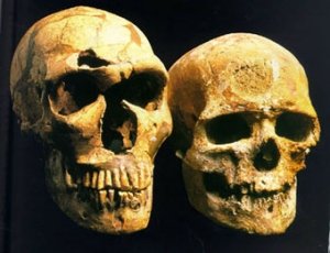 Неандертальцы никогда не были родственниками человека