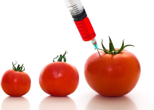 Почти триста учёных и экспертов сошлись во мнении, что безопасность использования ГМО не доказана