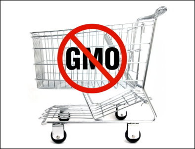 Ужасные последствия от ГМО. Результаты эксперимента шокируют…