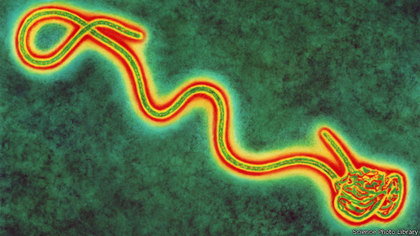Чума XXI века: вирус Эбола.