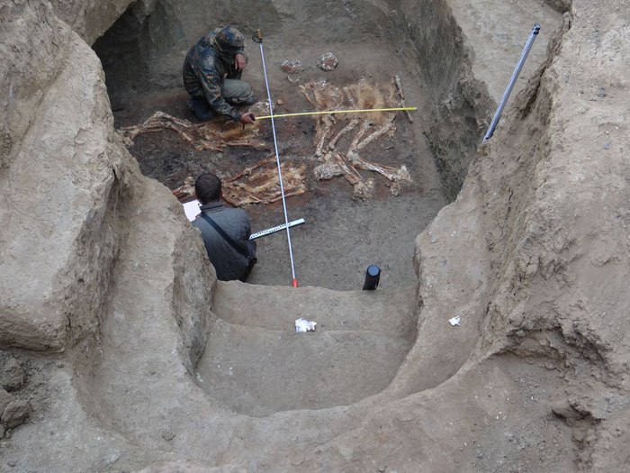 На Кубани в ст. Новопокровской найдены останки древних людей-великанов