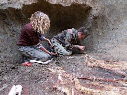 На Кубани в ст. Новопокровской найдены останки древних людей-великанов
